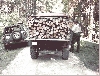 Holzholen mit 411, 2 Reihen à 1 Meterscheite