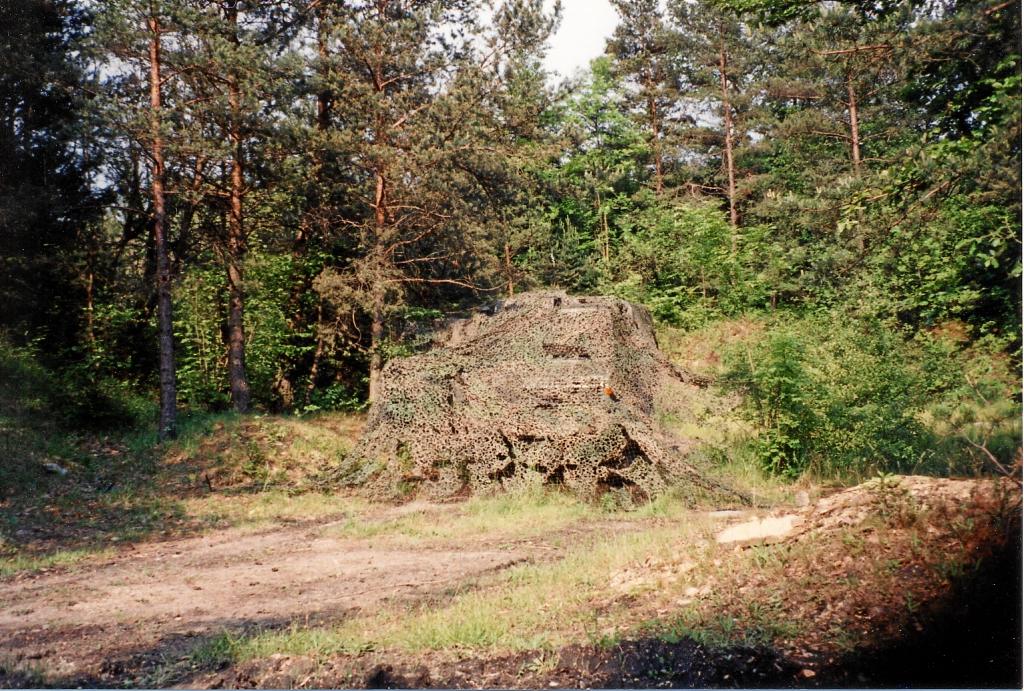 Suchbild: Wo ist der Mog?