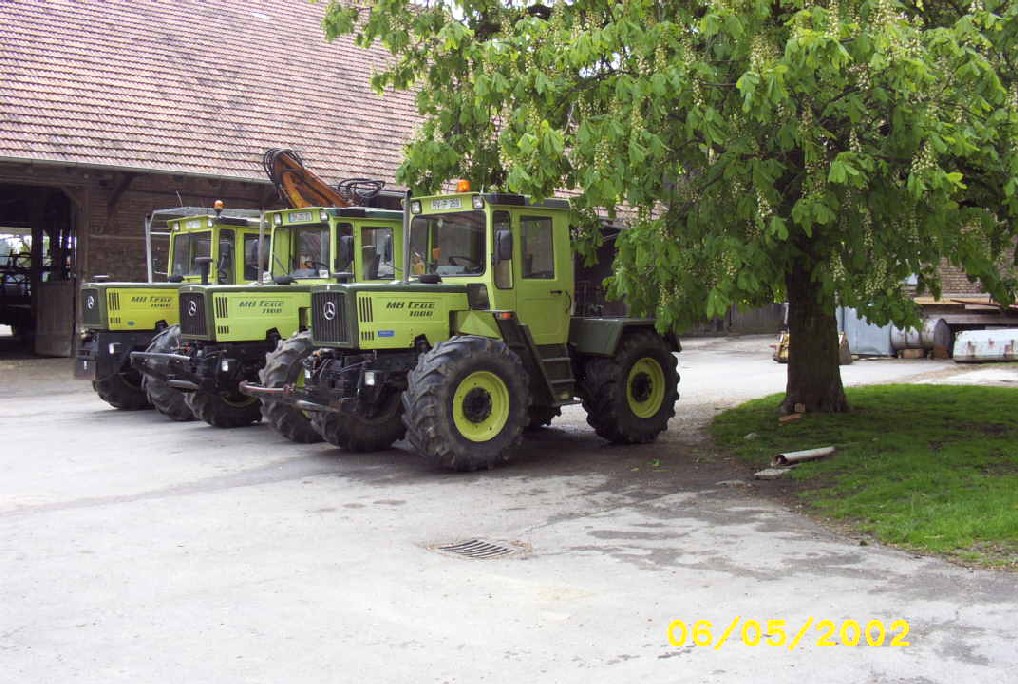 Ein Hof voller Sterne