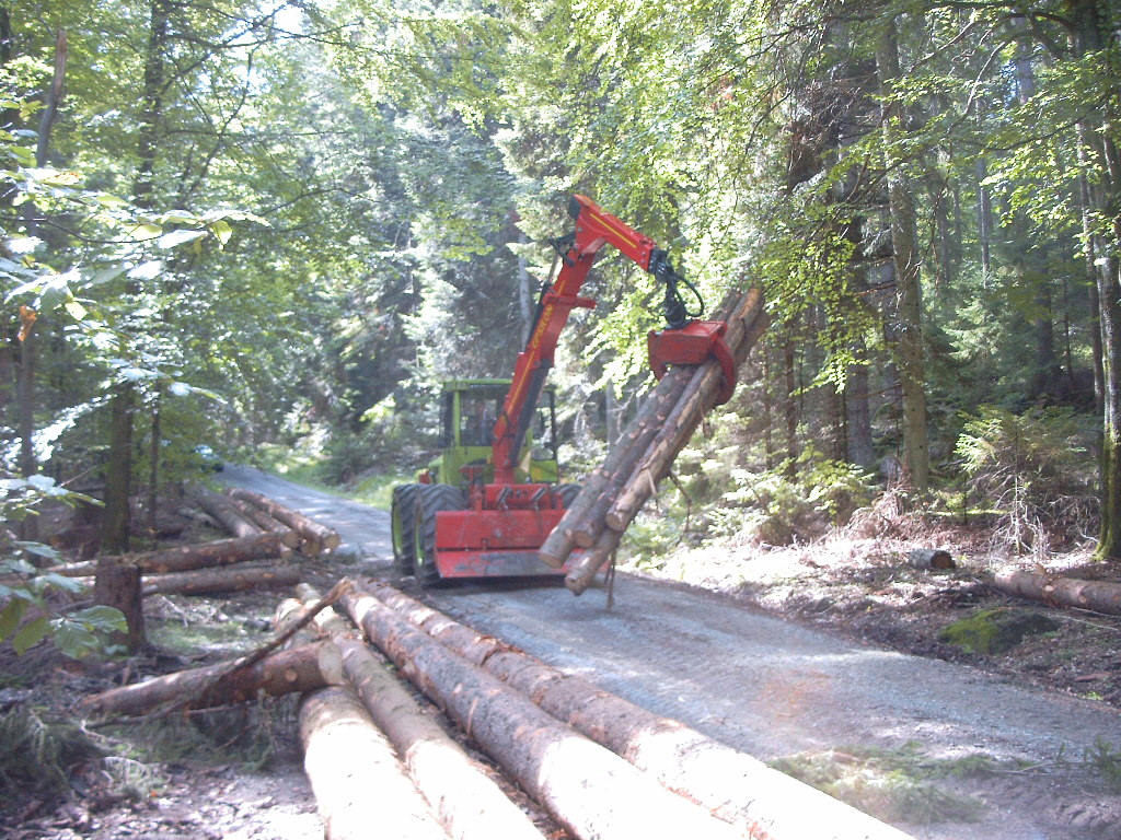 neur WF trac im Forst 4