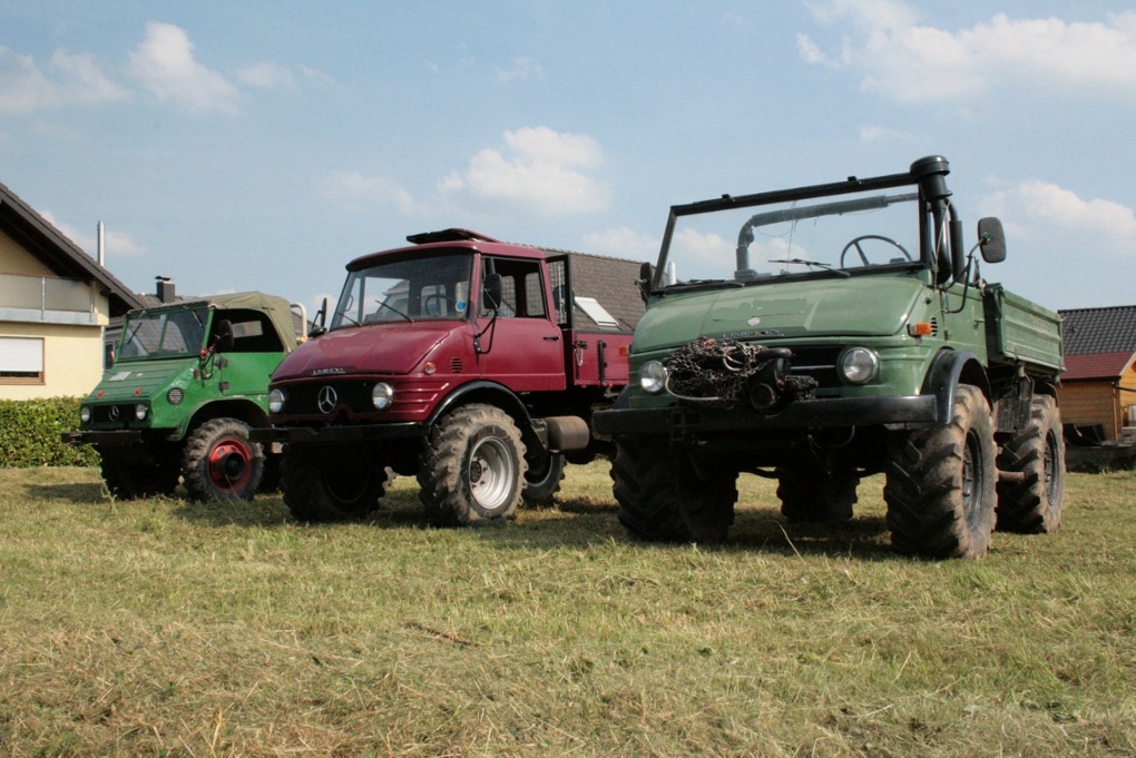 hier die Mogs der Familie - chronologisch geordnet