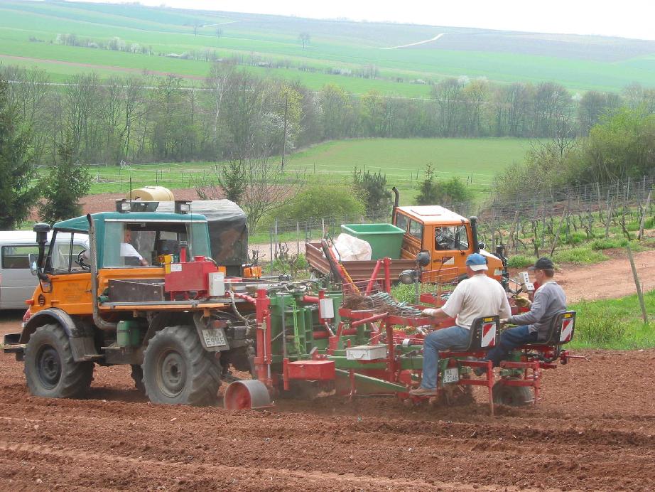 Weinberg-Neuanlage_2 - UnimoGallery