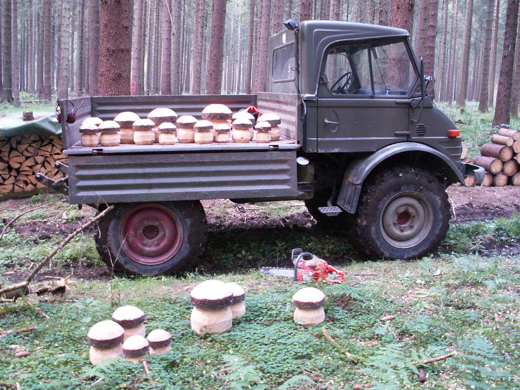 406 bei der Pilzernte