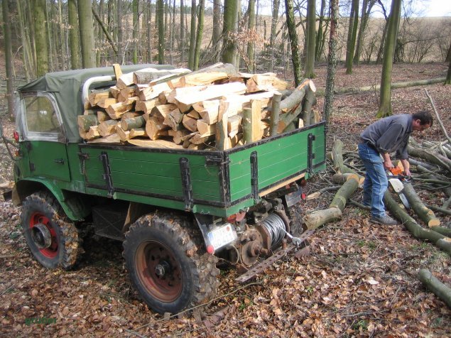 Holz1