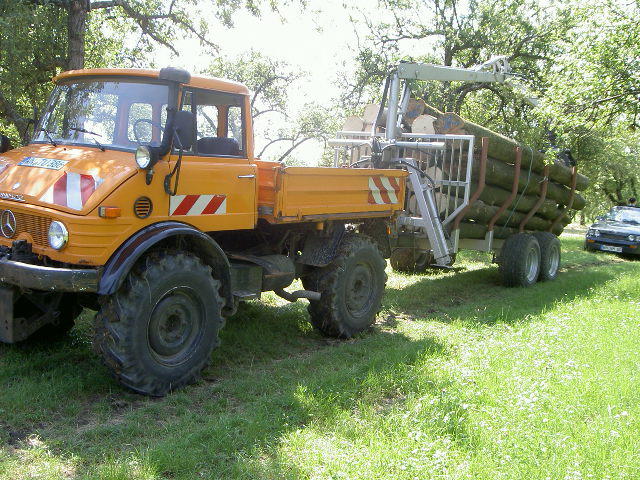 Mog mit Rückewagen