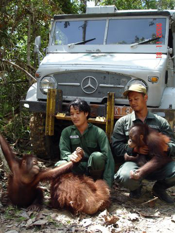 Unimog in Borneo