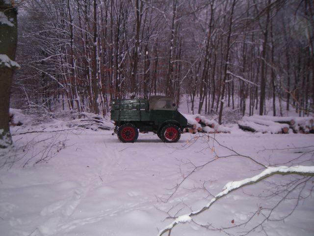 Unimog 2010