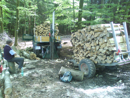 Unimog im Wald