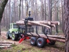 MB Trac 1000 im Wald