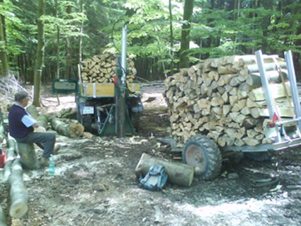 Brennholz