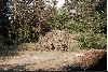 Suchbild: Wo ist der Mog?