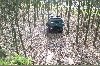 Der enge Wald in Nordhorn Der enge Wald in Nordhorn