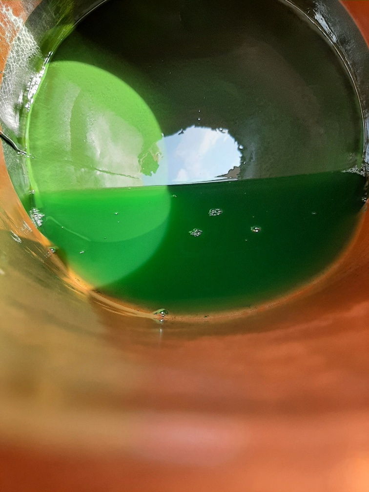 Diesel 08.10.2021.jpg