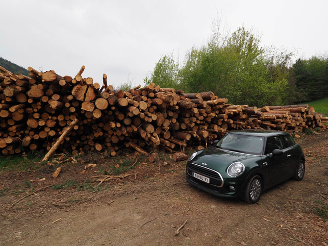 Holzernte Zehentegg..jpg