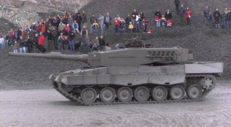 Leopard1.JPG