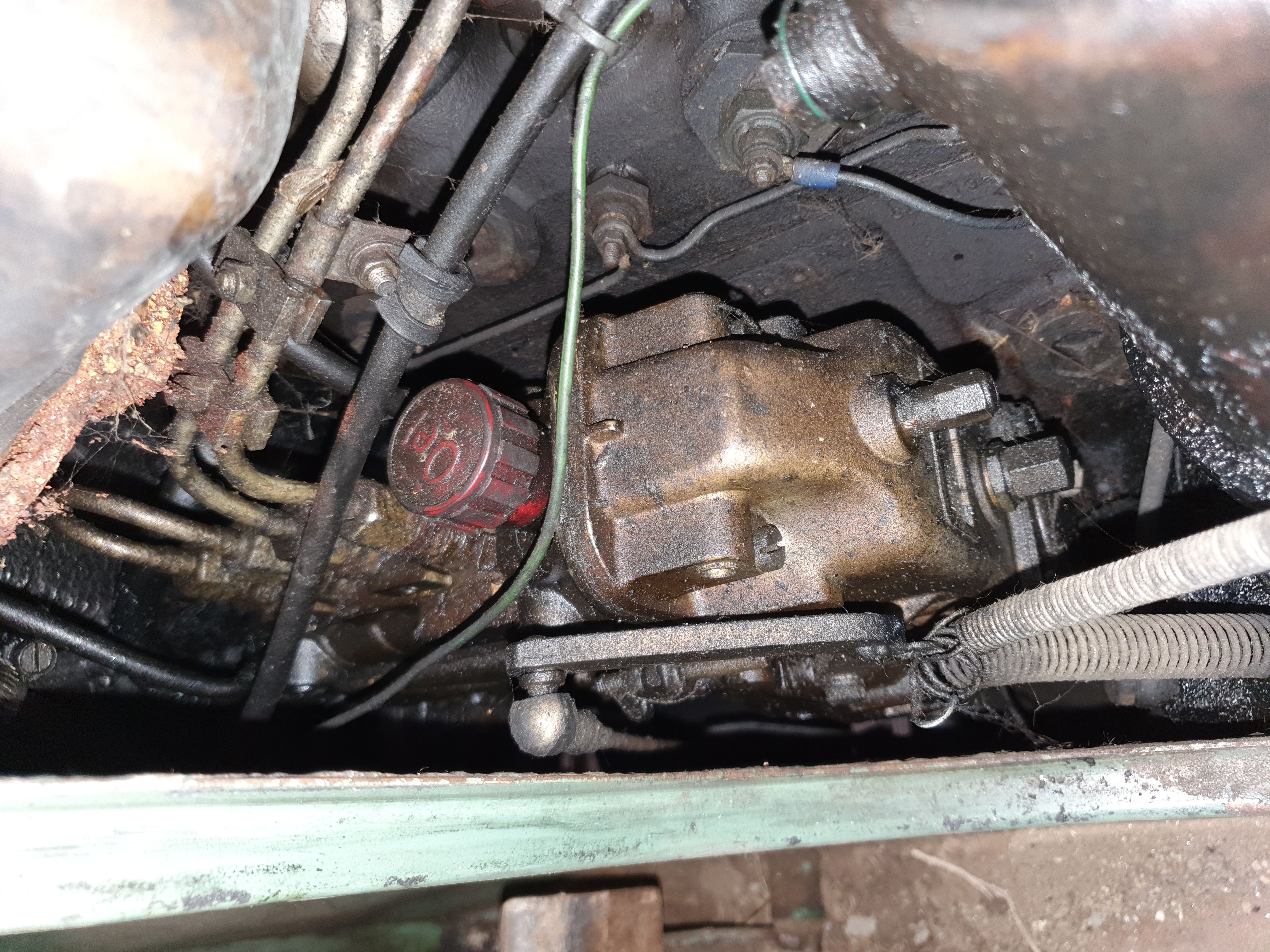 Ein Foto von der 1. Begutachtung 2022