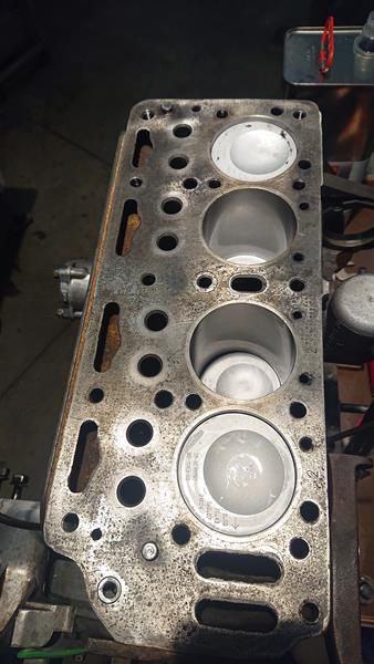 DSC_6083[1] (Copy).JPG