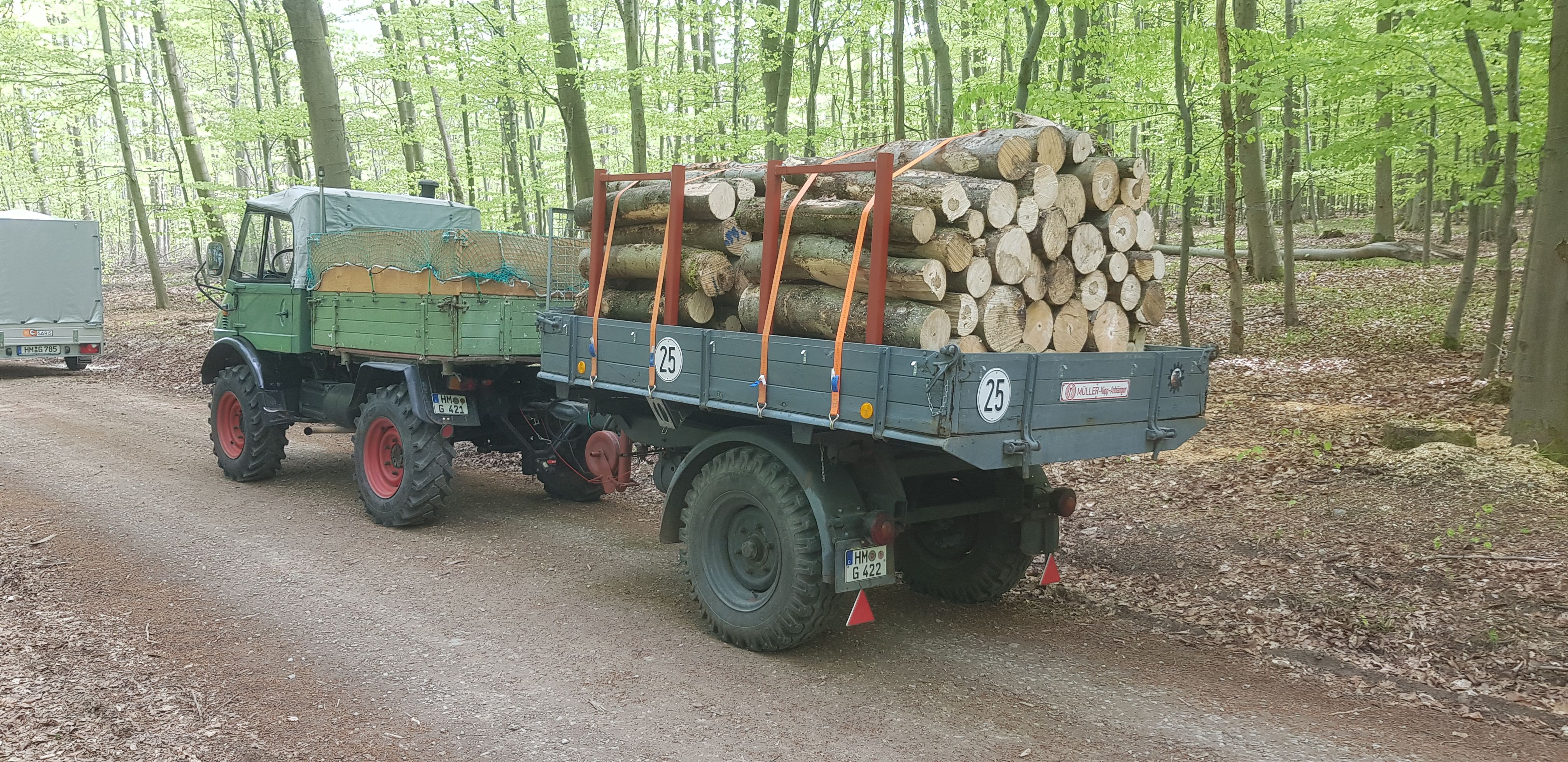 Holz 2023.jpg