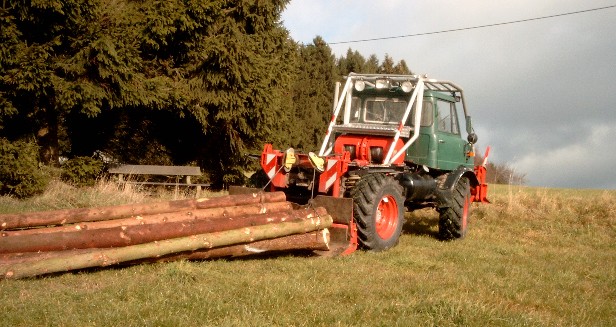 HolzrÃ¼ckaktion Schneider 3 bearb.jpg