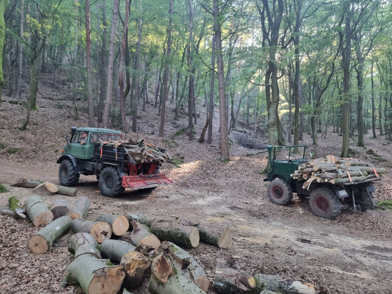 406 und 411 beim Holz machen.jpg