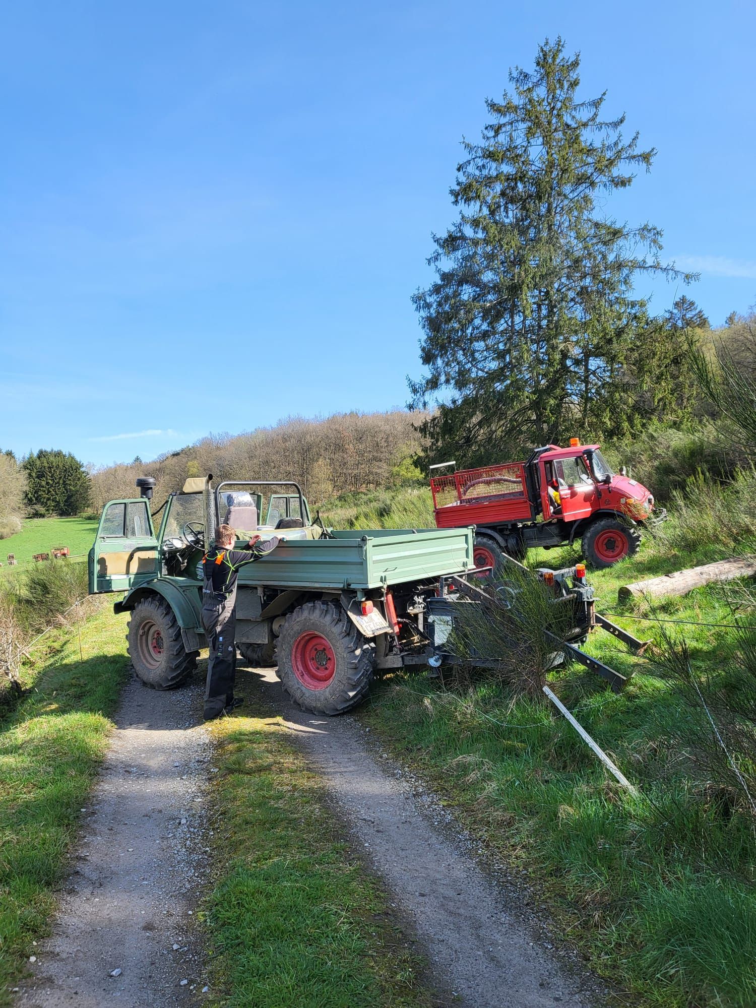 WhatsApp Bild 2024-04-11 um 16.49.54_8c61b789.jpg