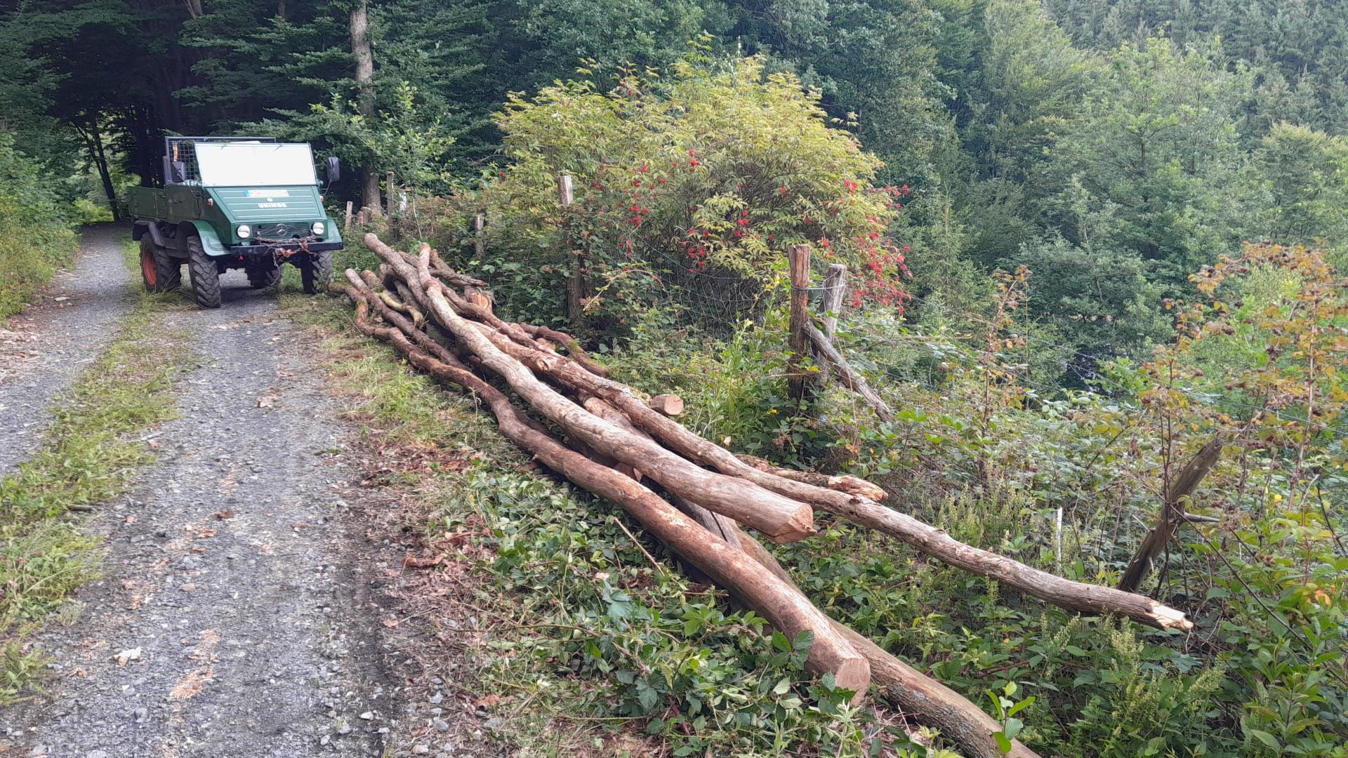 Holzstoß von Freitag