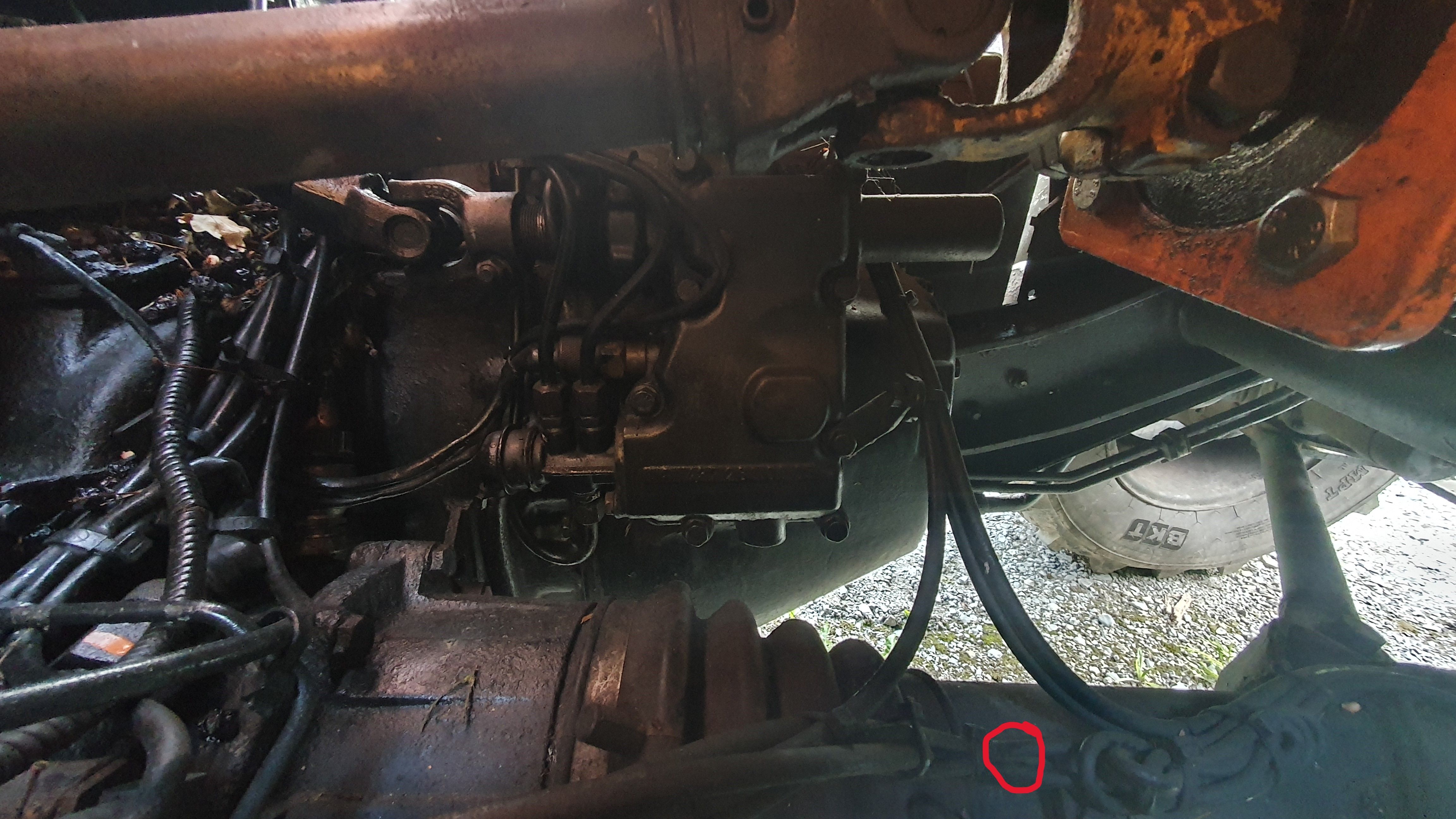 2025-07-23 17.33.07.jpg