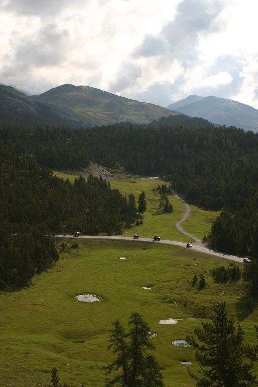 Hier ein paar Mogs im Aufstieg zum Ofenpass.