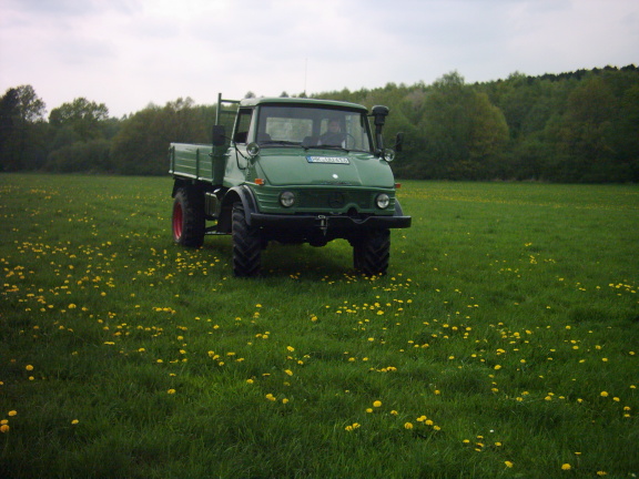 Unimog auf der Wiese