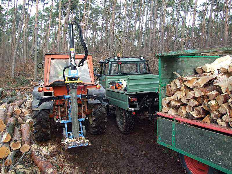 Holz1.jpg