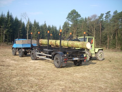 Holz Rest Reisenmoor 062.JPG
