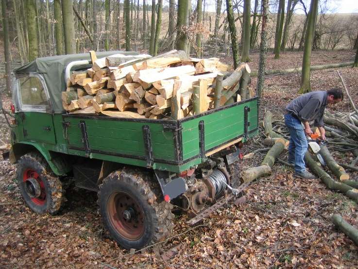 Holz mog 2.JPG