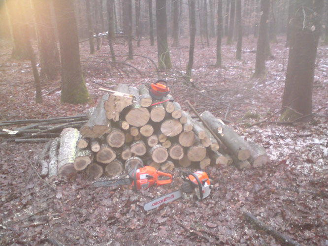 Die Ausbeute nach den ersten 1,5h und 5 BÃ¤umen bzw. BÃ¤umchen