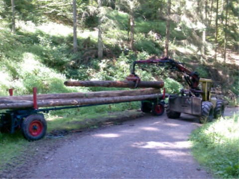 soooo macht langholz laden spaÃŸ, wenn baumstÃ¤mme zu streichhÃ¶lzern werden...