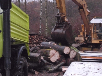 unimog 09 (buchenholz) 022_400.JPG