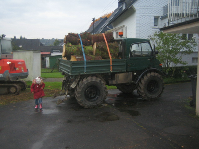 Bilder neu 10-2008 020.jpg