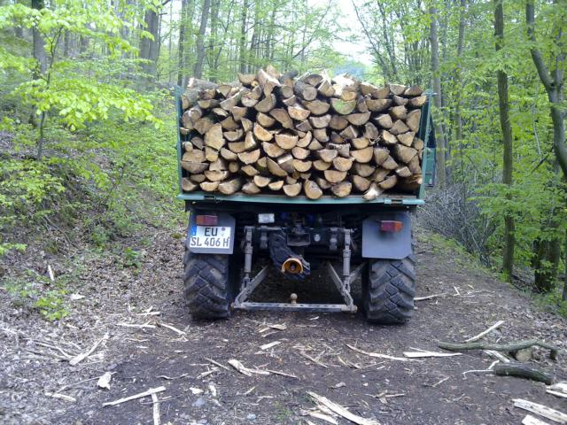 Abtransport 2010.JPG