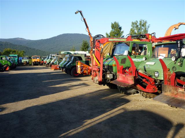 P1020517 (Small).JPG