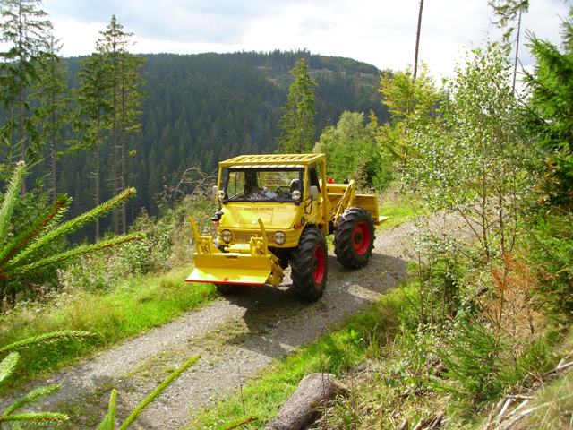 Mein ganzer Stolz...