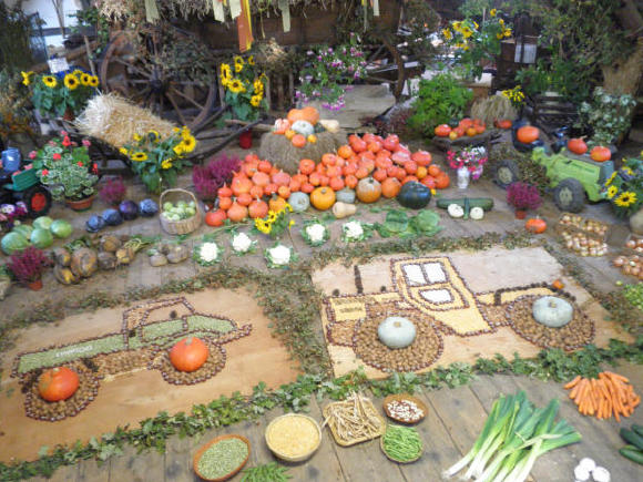 Erntedankfest Gut Steinhof 2011 051.jpg