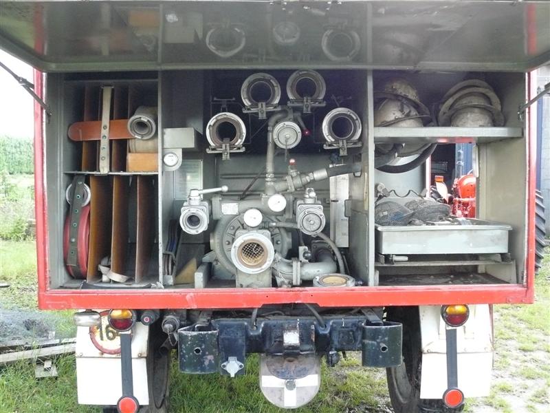 P1010065 (Medium).JPG