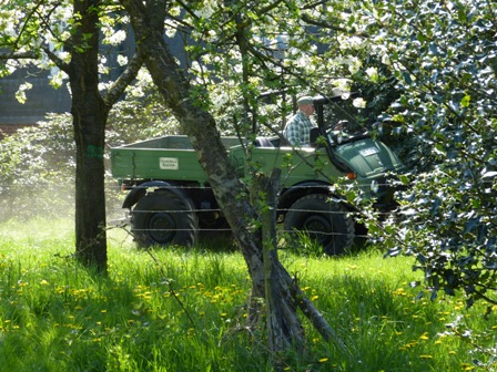 durch den Obstgarten