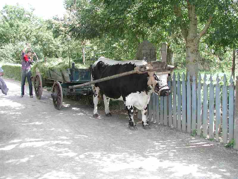 Ecomusee, Ungersheim, Frankreich
<br />- PrÃ¤dikat empfehlenswert, auch wenn sie dort keine UNIMOGs haben, aber LANZe!