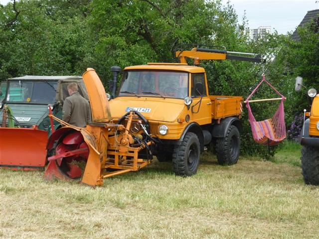 P1040952 (Medium) (Small).JPG