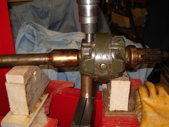 DSC06218 - Kopie.JPG