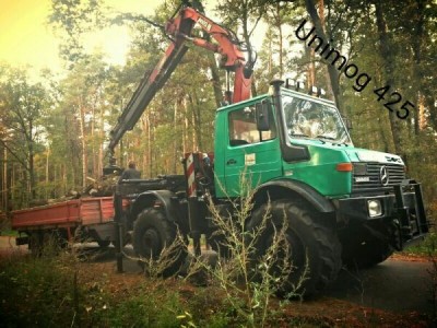 Unimog 425 Forsteinsatz_2.jpg