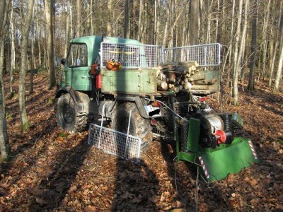 Ein schöner Tag im Wald