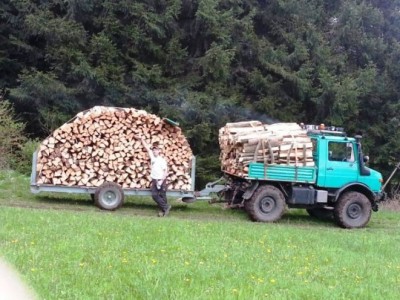 Unimog wald 1.jpg