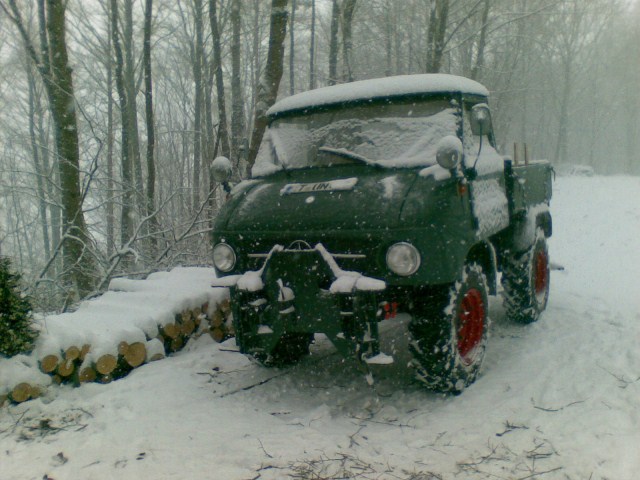 Mog im schnee 06032010_003.JPG