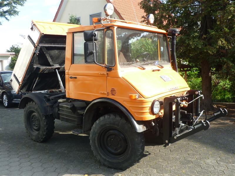 P1020117 (Medium).JPG